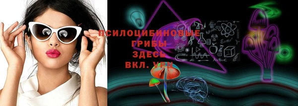 ешки Кукмор